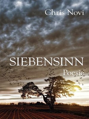 cover image of Siebensinn
